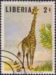 Colnect-1949-118-Giraffe-Giraffa-camelopardalis.jpg