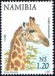 Colnect-2221-693-Giraffe-Giraffa-camelopardalis.jpg