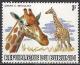 Colnect-2617-661-Reticulated-Giraffe-Giraffa-camelopardalis-reticulata.jpg