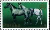 Colnect-3590-276-Wielkopolska-Horse-Equus-ferus-caballus.jpg
