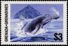 Colnect-4309-205-Humpback-whale.jpg