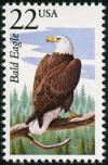 Colnect-5026-778-Bald-Eagle-Haliaeetus-leucocephalus.jpg