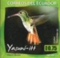 Colnect-3553-392-Rufous-tailed-Hummingbird-Amazilia-tzacatl.jpg