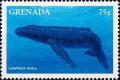Colnect-4581-369-Humpback-whale.jpg