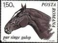 Colnect-571-445-Thoroughbred-Horse-Equus-ferus-caballus.jpg