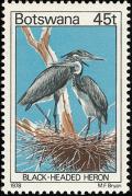 Colnect-597-730-Black-headed-Heron-Ardea-melanocephala.jpg