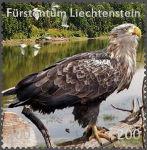 Colnect-3715-009-Bald-eagle-Haliaeetus-leucocephalus.jpg
