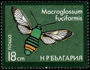 Colnect-1213-600-Broad-bordered-Bee-Hawk-Moth-Macroglossum-fuciformis.jpg