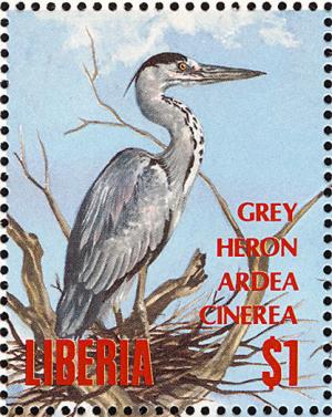 Colnect-1641-778-Grey-Heron-Ardea-cinerea.jpg