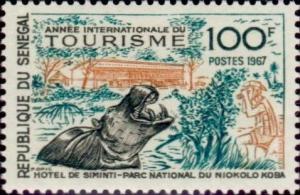 Colnect-1991-905-Tourist-photographing-Hippopotamus-Hippopotamus-amphibius.jpg