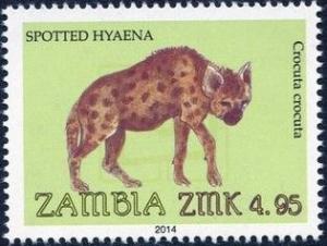 Colnect-2448-614-Spotted-Hyena-Crocuta-crocuta.jpg