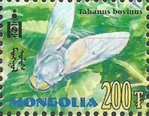 Colnect-2649-017-Pale-Giant-Horse-fly-Tabanus-bovinus.jpg