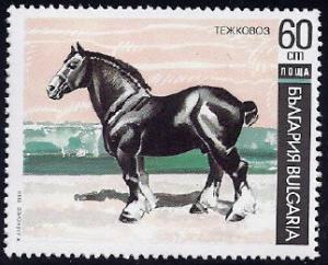 Colnect-2796-087-Cold-blooded-Horse-Equus-ferus-caballus.jpg