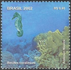 Colnect-694-389-Seahorse-Hippocampus-sp-Corals.jpg