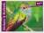 Colnect-2977-575-Rufous-tailed-Hummingbird-Amazilia-tzacatl.jpg