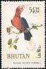 Colnect-1412-496-Rufous-necked-Hornbill-Aceros-nepalensis-.jpg