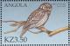 Colnect-1240-340-Northern-Hawk-Owl%C2%A0Surnia-ulula.jpg