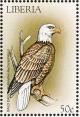 Colnect-1641-839-Bald-Eagle%C2%A0Haliae%C3%ABtus-leucocephalus.jpg
