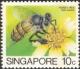 Colnect-445-142-Asiatic-Honey-Bee-Apis-javana.jpg