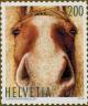 Colnect-5552-650-Horse-portrait.jpg
