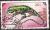 Colnect-1249-880-Green-Iguana-Iguana-iguana.jpg