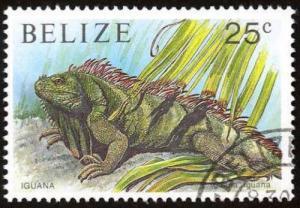 Colnect-2184-941-Green-Iguana-Iguana-iguana.jpg