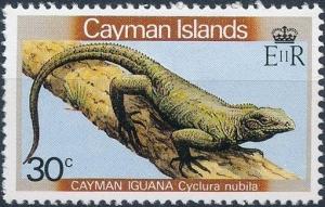 Colnect-2364-596-Cayman-Iguana-Cyclura-nubila.jpg