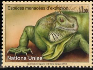 Colnect-2544-078-Green-Iguana-Iguana-iguana.jpg