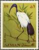 Colnect-1785-984-African-Sacred-Ibis-Threskiornis-aethiopicus.jpg