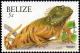 Colnect-2346-070-Green-Iguana-Iguana-iguana.jpg