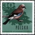 Colnect-2091-713-Eurasian-Jay-Garrulus-glandarius.jpg