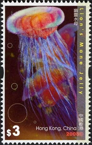 Colnect-1824-788-Lion--s-Mane-Jellyfish-Cyanea-capillata.jpg