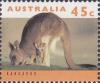 Colnect-6442-221-Eastern-Grey-Kangaroo-Macropus-giganteus.jpg
