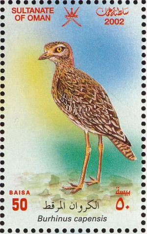 Colnect-1464-138-Spotted-Thick-knee-Burhinus-capensis%C2%A0%C2%A0%C2%A0.jpg