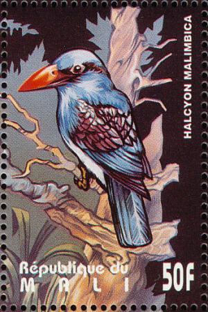 Colnect-2375-991-Blue-breasted-Kingfisher-Halcyon-malimbica.jpg