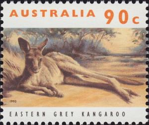 Colnect-3953-157-Eastern-Grey-Kangaroo-Macropus-giganteus.jpg