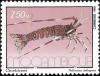 Colnect-1116-906-Natal-Spiny-Lobster-Palinurus-delagoae.jpg