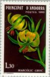 Colnect-141-971-Turk-s-cap-lily---Lilium-pyrenaicum.jpg