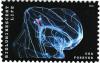 Colnect-4771-550-Bioluminescent-Life-Deep-sea-Comb-Jellyfish.jpg