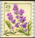 Colnect-1700-013-Lavender-coil.jpg