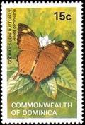 Colnect-1789-159-Godman-s-Leaf-Anaea-dominicana-.jpg