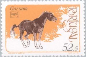 Colnect-176-577--bdquo-Garrano-ldquo--Equus-ferus-caballus.jpg
