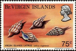 Colnect-3952-864-Virgin-Island-Latirus-Latirus-virginensis-.jpg