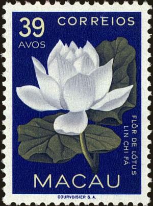 Colnect-4422-180-Lotus-blossom.jpg