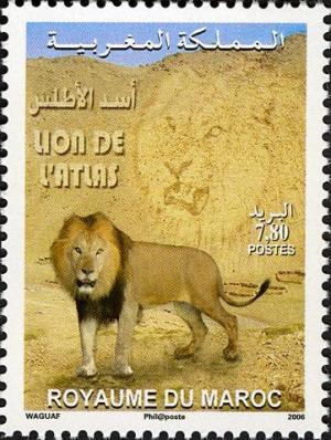 Colnect-617-486-Barbary-Lion-Panthera-leo-leo.jpg