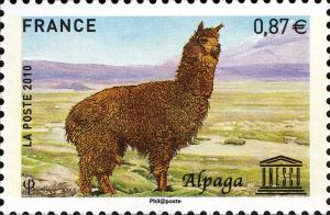 Colnect-721-423-Alpaca-Lama-guanicoe-pacos.jpg