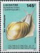Colnect-2250-549-East-african-Land-Snail-Achatina-fulica.jpg