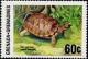 Colnect-4309-200-Land-tortoise.jpg