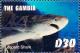 Colnect-4674-225-Leopard-shark.jpg