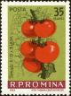 Colnect-4945-225-Tomatoes-Lycopersicon-esculentum.jpg